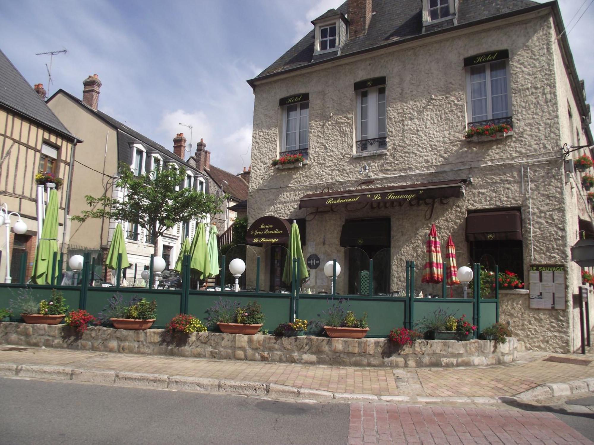 Le Sauvage Hotel Château-Renard Exterior foto