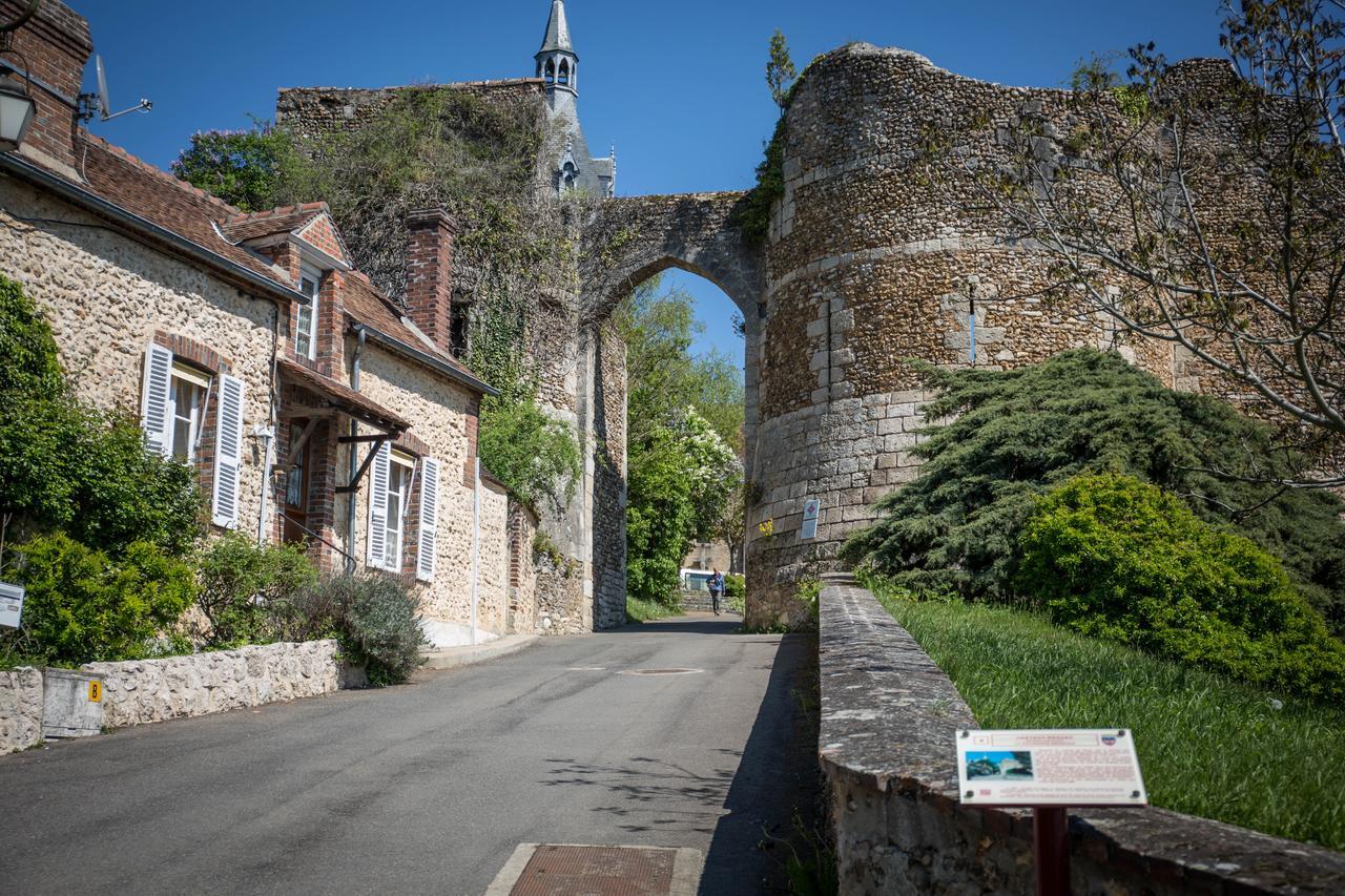 Le Sauvage Hotel Château-Renard Exterior foto